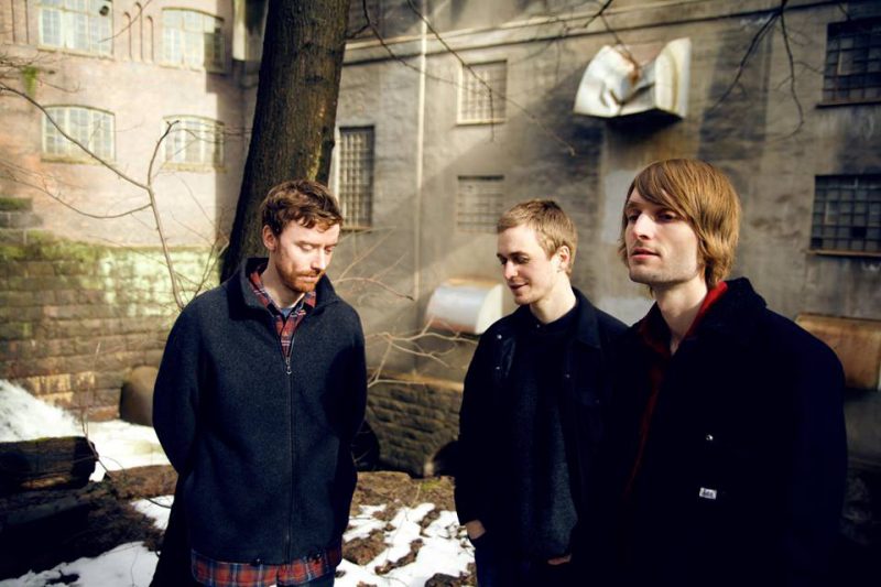 <p>Monkey Plot</p>