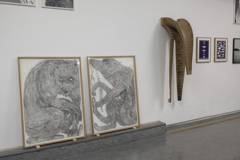 <p>Thomas Breitenfeld / Silas Inoue</p>
